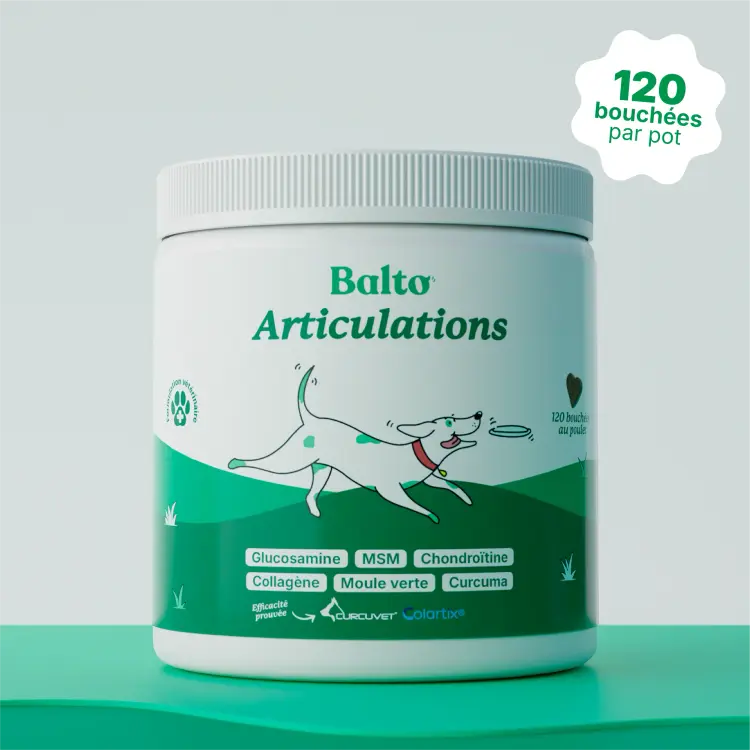 Anivita Mobilité — Complément Articulations Spécial Chien